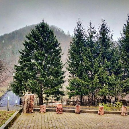 Villa & Spa 4Temporadas - Plaiul Foii Zărneşti Exterior foto