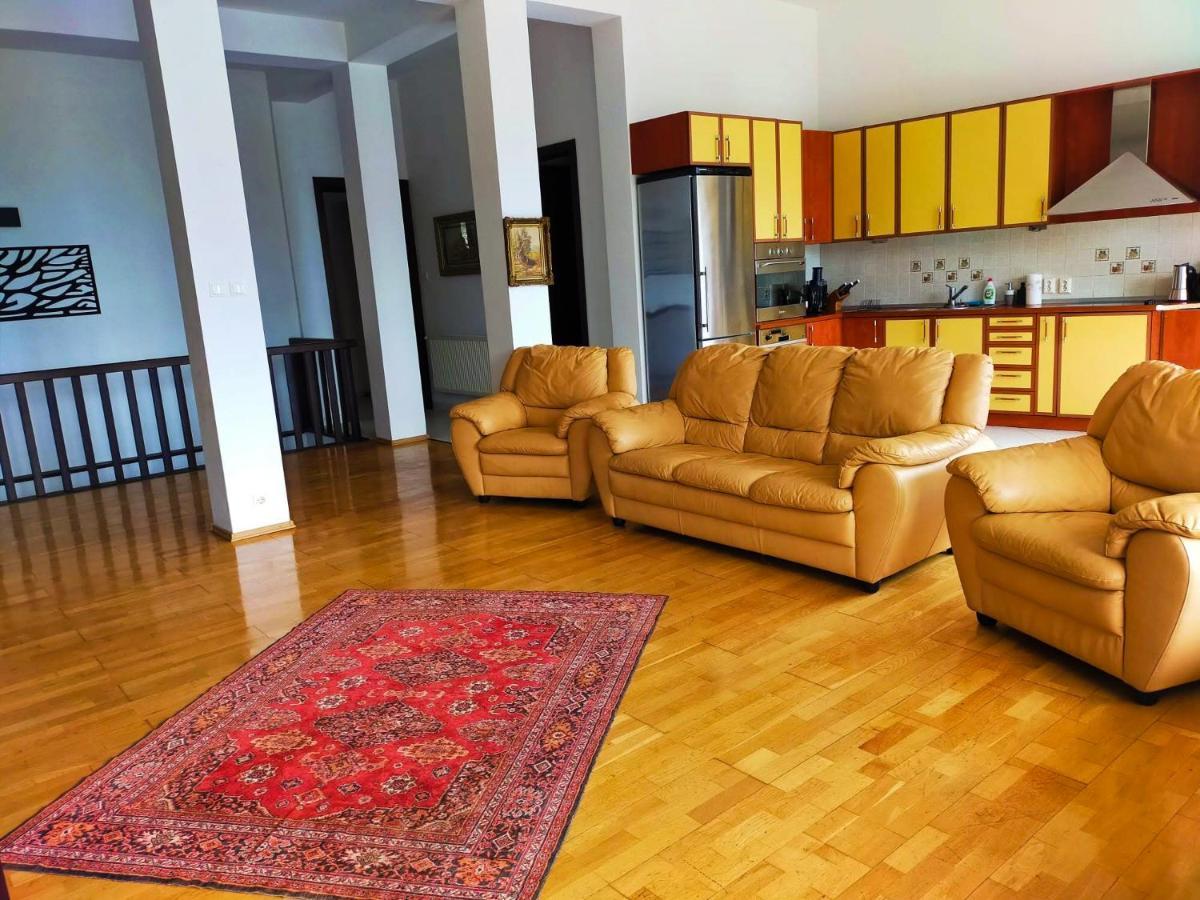 Villa & Spa 4Temporadas - Plaiul Foii Zărneşti Exterior foto