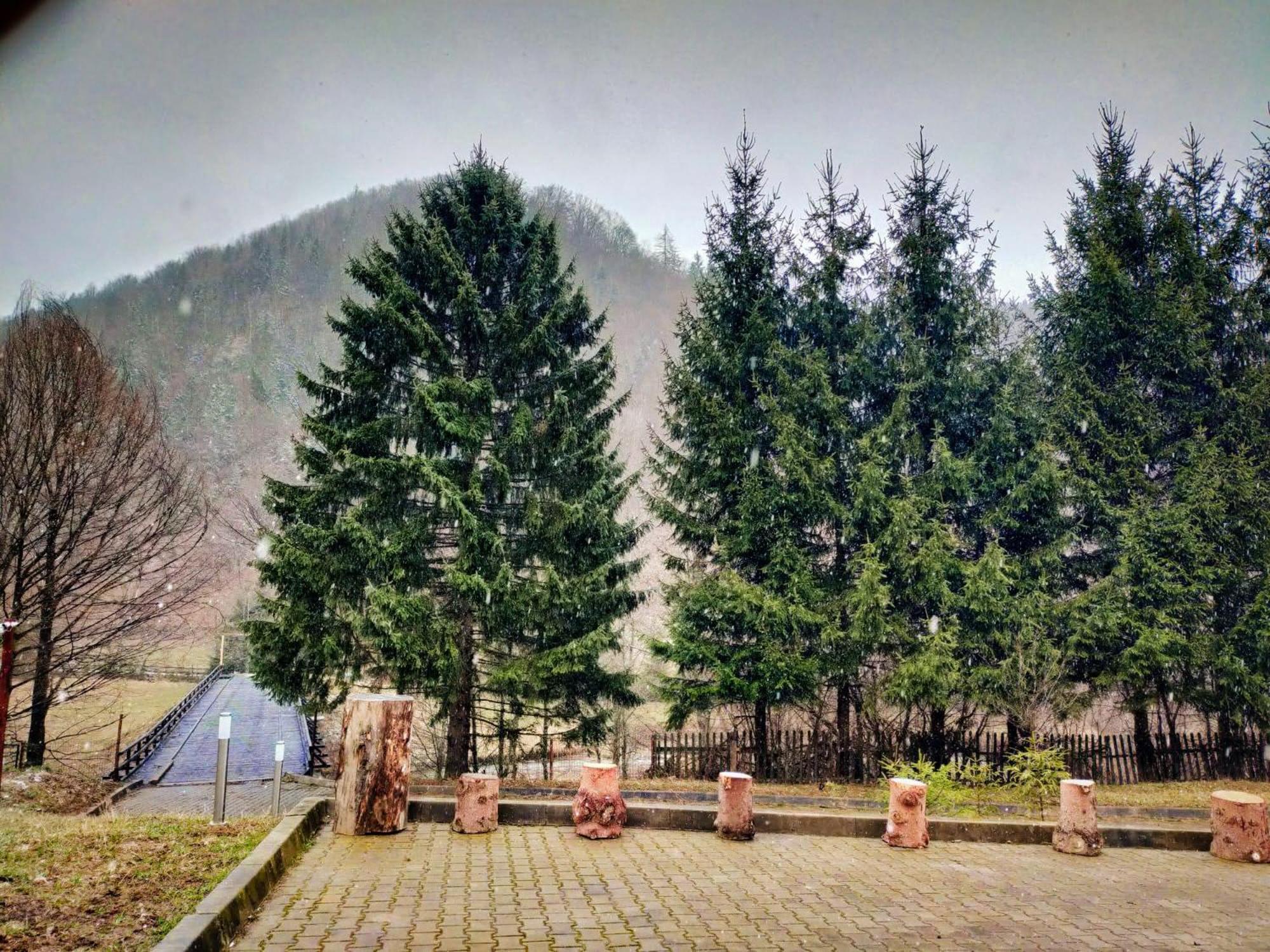 Villa & Spa 4Temporadas - Plaiul Foii Zărneşti Exterior foto