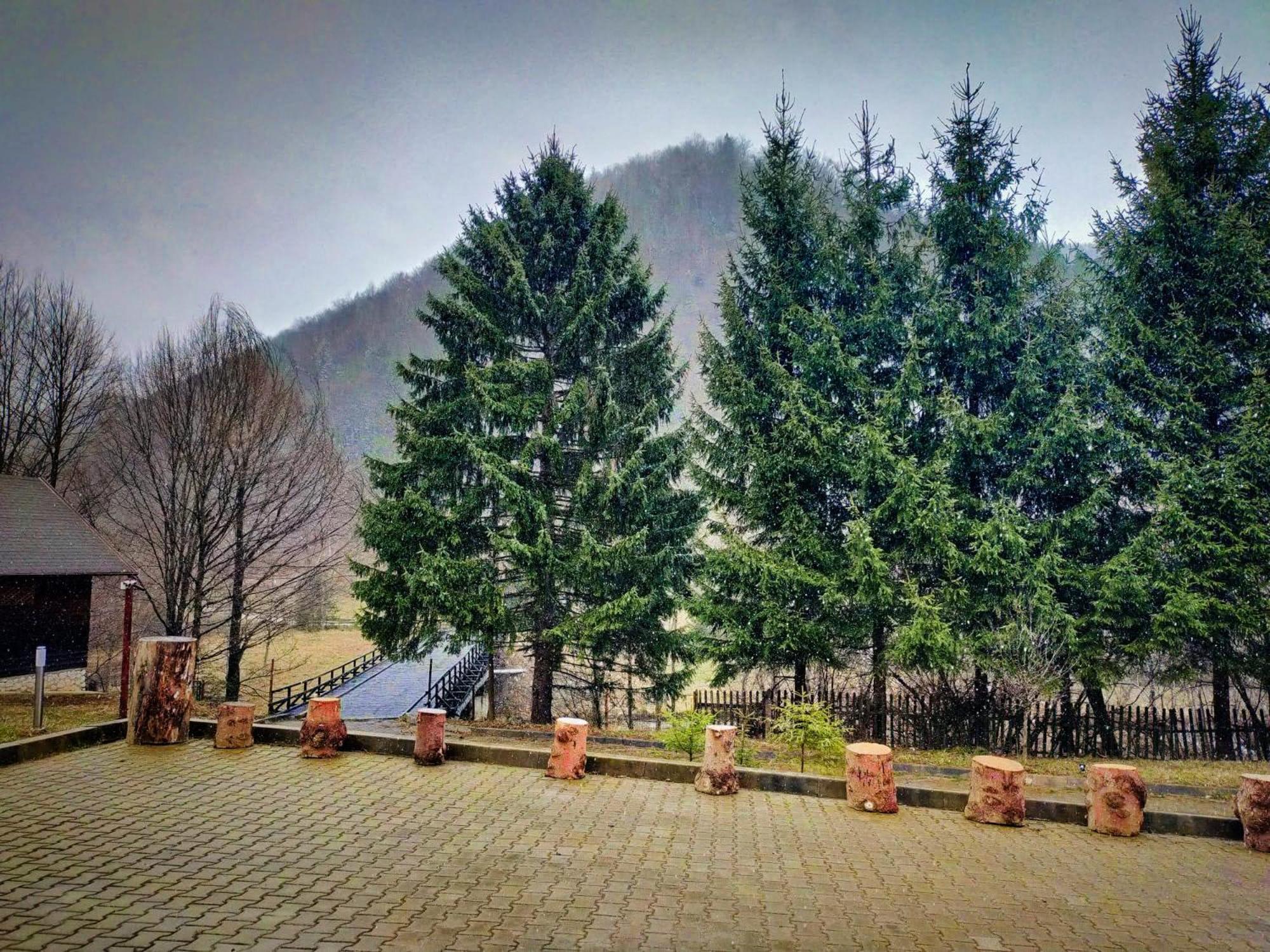 Villa & Spa 4Temporadas - Plaiul Foii Zărneşti Exterior foto