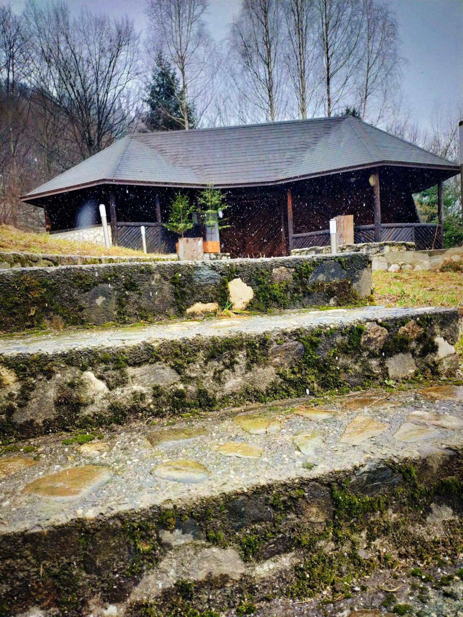 Villa & Spa 4Temporadas - Plaiul Foii Zărneşti Exterior foto